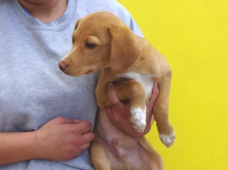 multimedia-foto47739-878-1