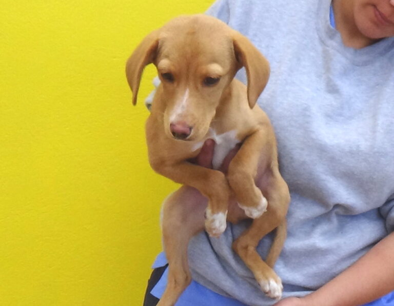 multimedia-foto47740-879-1