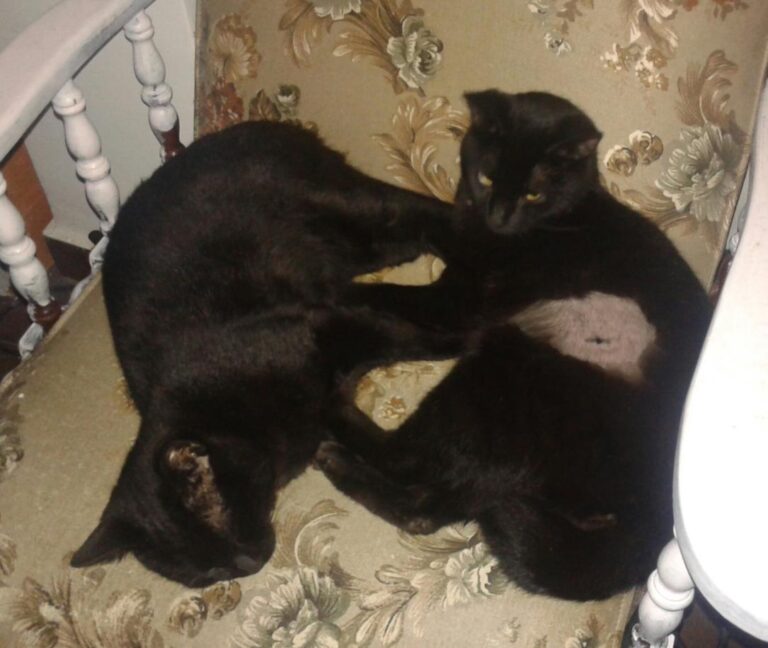 multimedia-foto47749-282-1