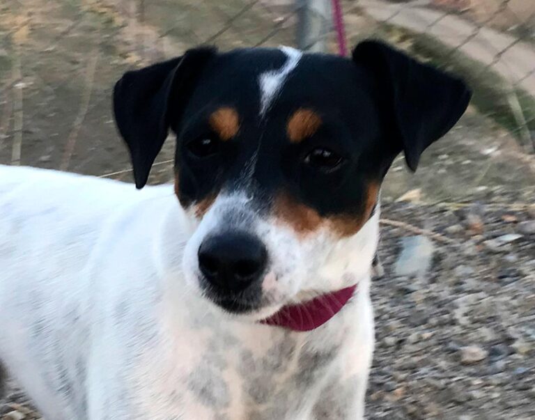 multimedia-foto47760-513-1