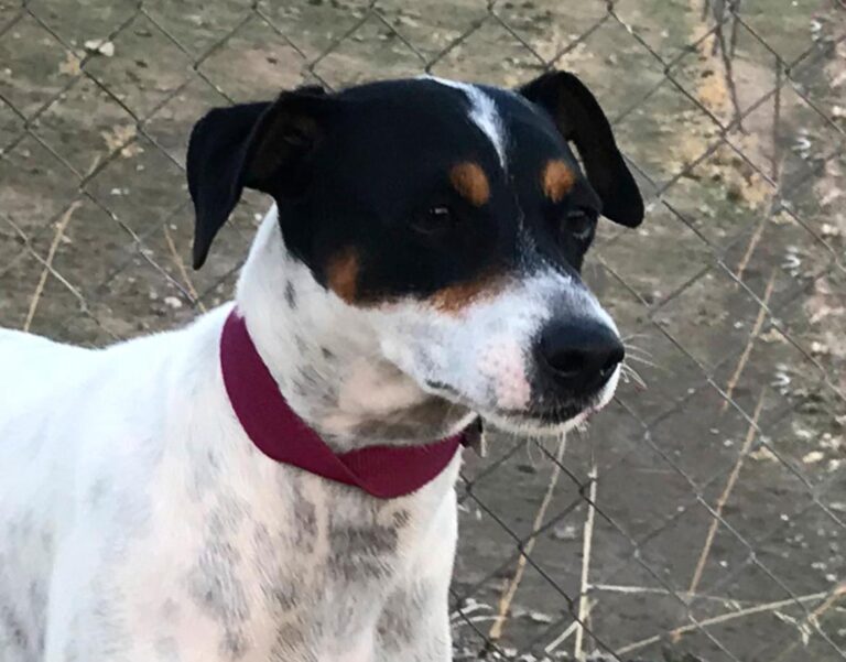 multimedia-foto47761-514-1