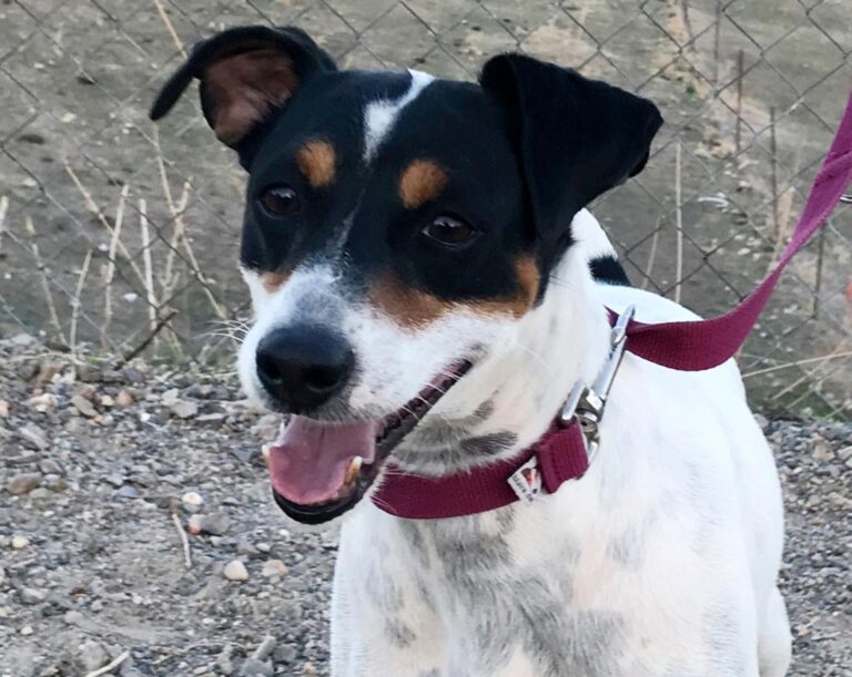 multimedia-foto47762-514-1