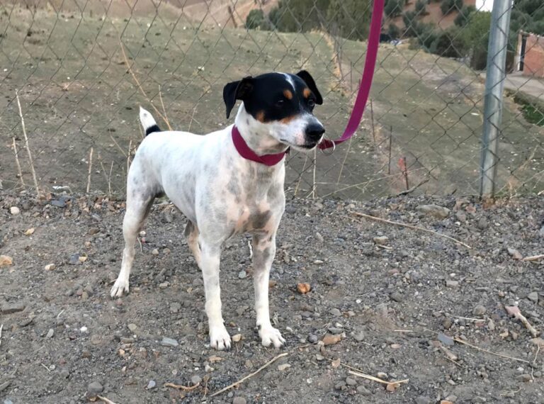 multimedia-foto47763-514-1