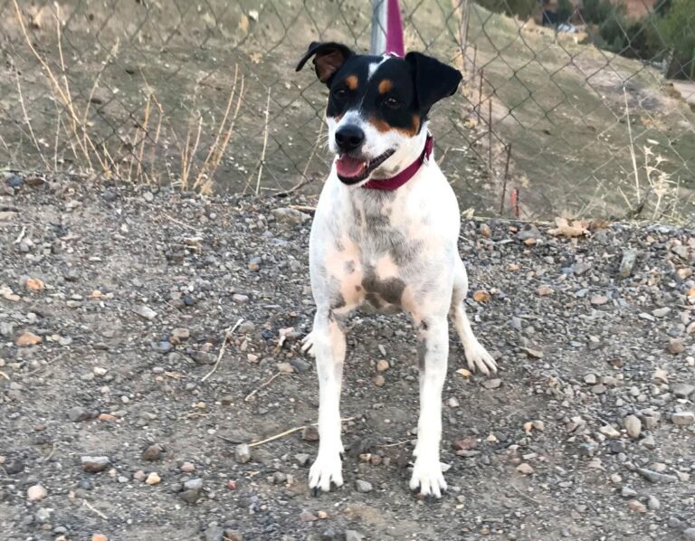 multimedia-foto47764-514-1