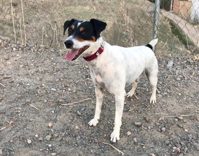 multimedia-foto47765-515-1