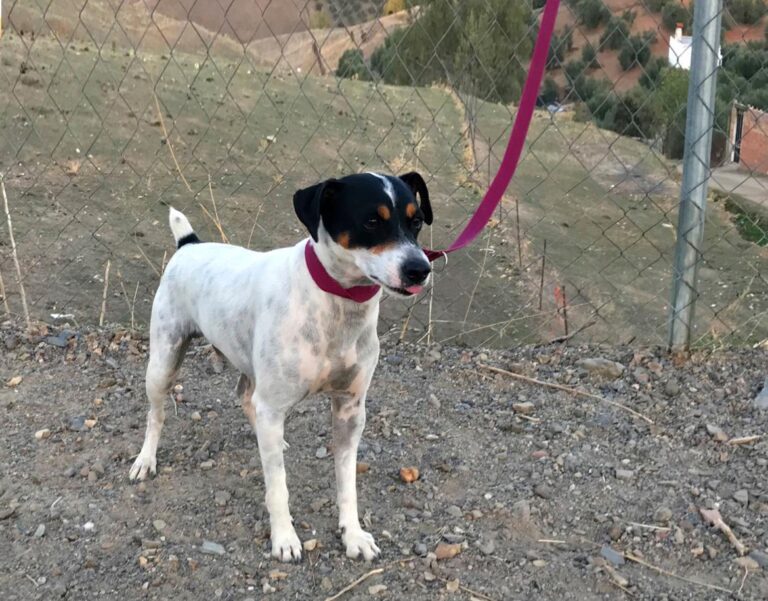 multimedia-foto47766-515-1