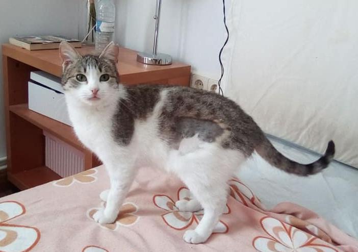 multimedia-foto47767-539-1