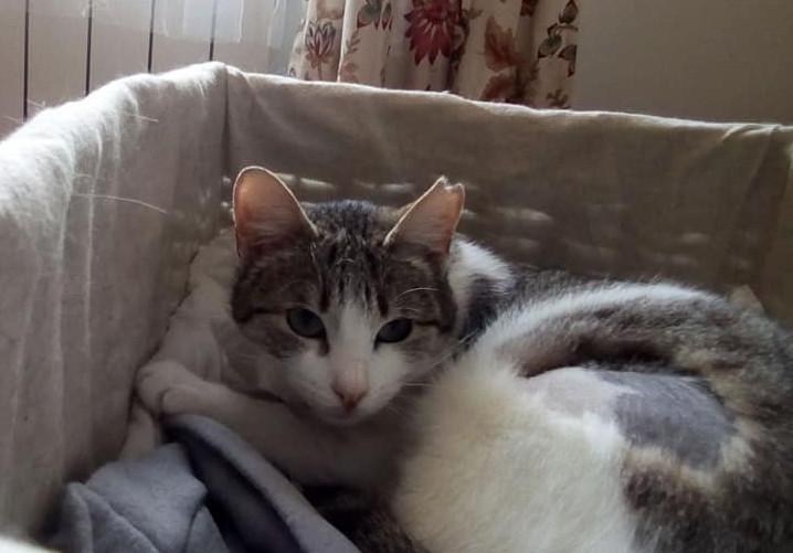 multimedia-foto47768-539-1