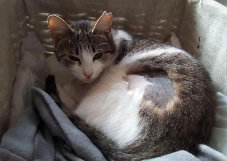 multimedia-foto47769-540-1