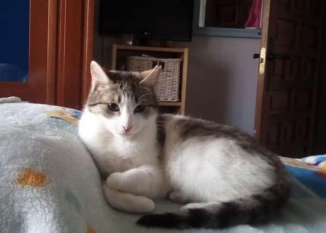 multimedia-foto47770-540-1