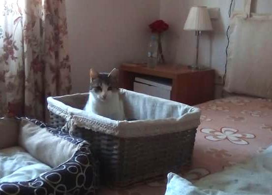 multimedia-foto47772-540-1