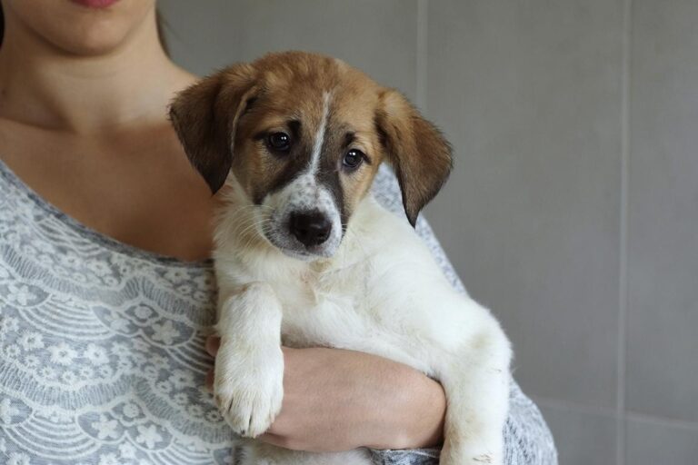 multimedia-foto47814-791-1