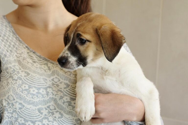 multimedia-foto47815-792-1