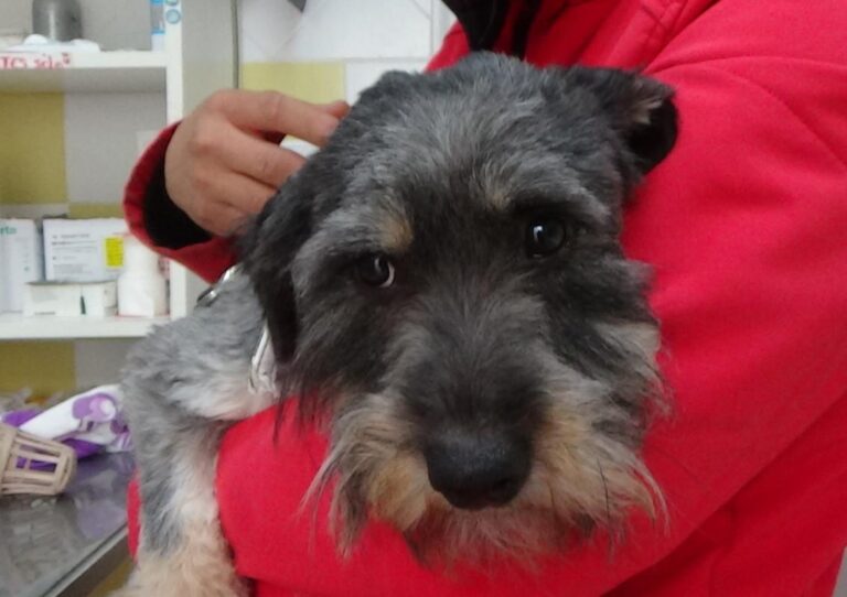 multimedia-foto47874-683-1