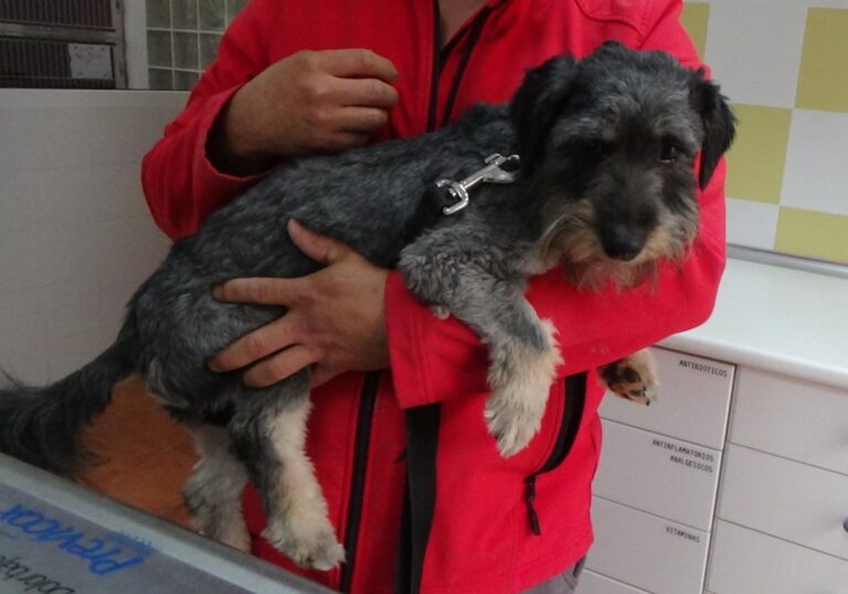 multimedia-foto47875-683-1