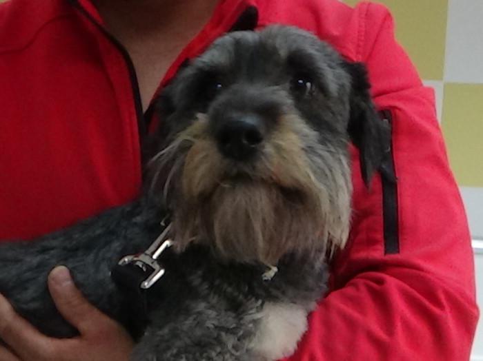 multimedia-foto47876-683-1