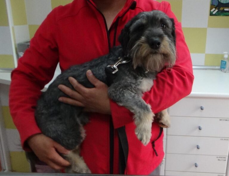 multimedia-foto47877-684-1