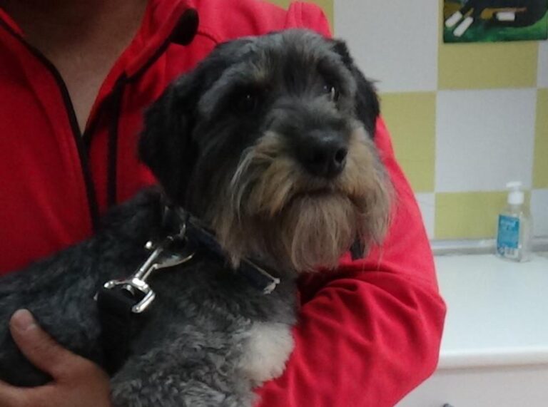 multimedia-foto47878-684-1