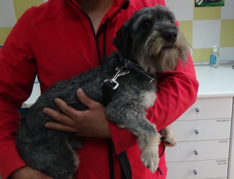 multimedia-foto47879-684-1