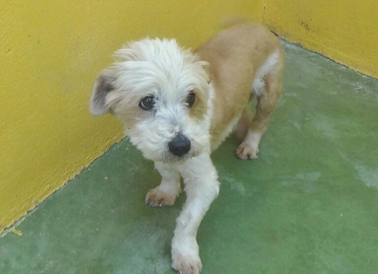 multimedia-foto47899-734-1