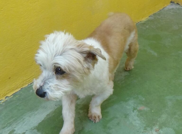 multimedia-foto47900-734-1