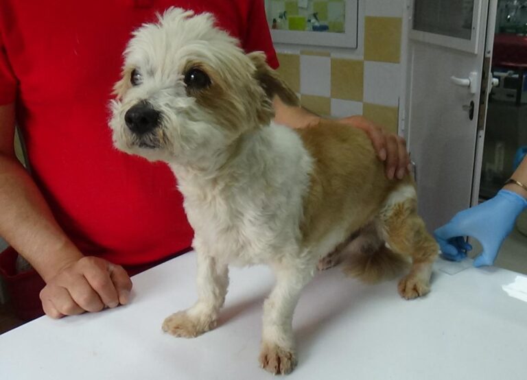 multimedia-foto47901-876-1