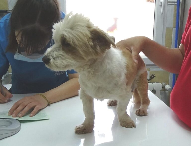 multimedia-foto47902-876-1