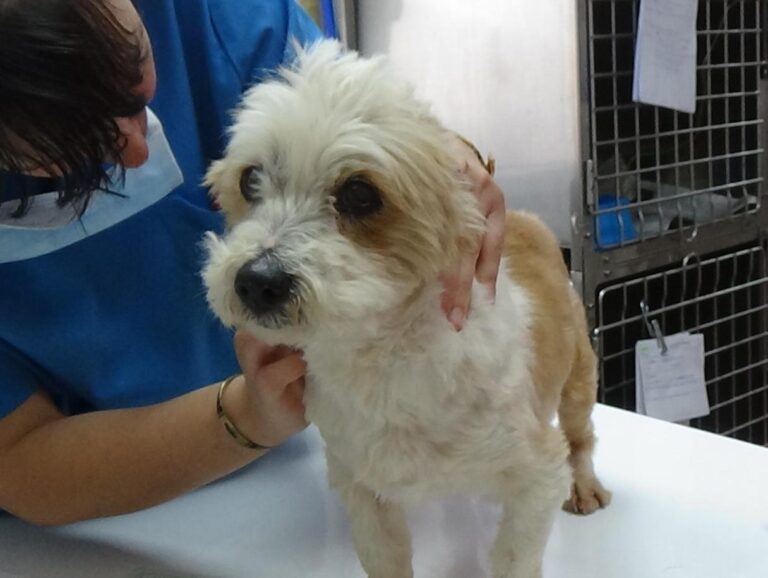 multimedia-foto47903-876-1