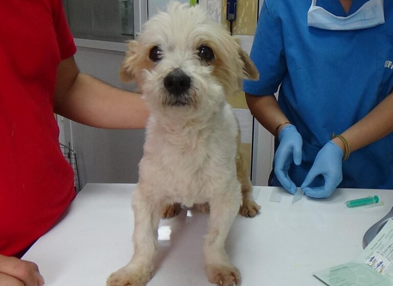 multimedia-foto47904-876-1