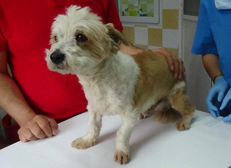 multimedia-foto47905-877-1