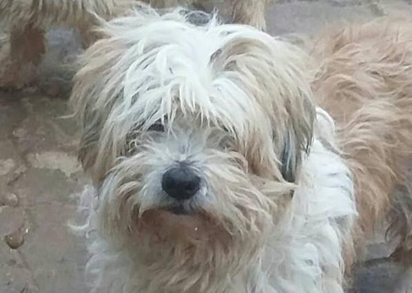 multimedia-foto47906-877-1