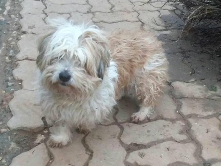 multimedia-foto47907-877-1