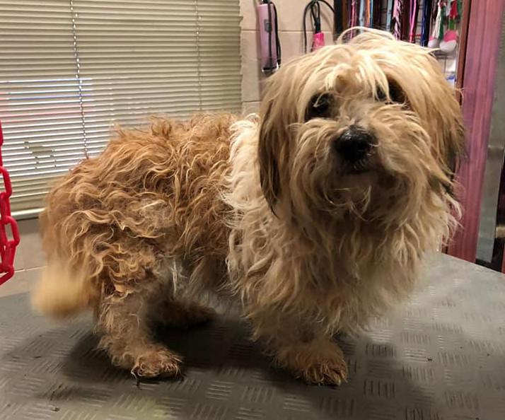 multimedia-foto47909-926-1