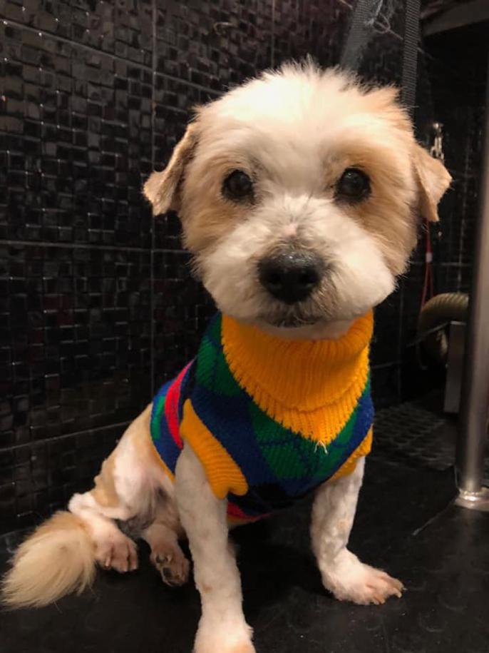 multimedia-foto47910-926-1