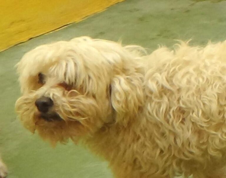 multimedia-foto47933-370-1