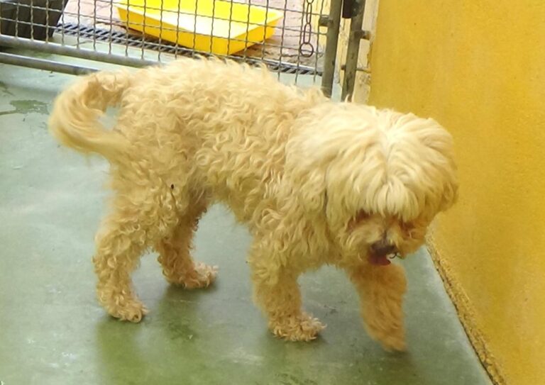 multimedia-foto47934-370-1