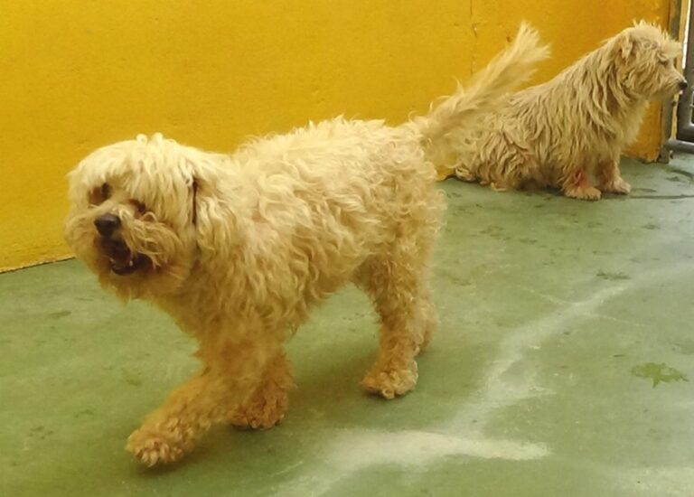 multimedia-foto47936-371-1