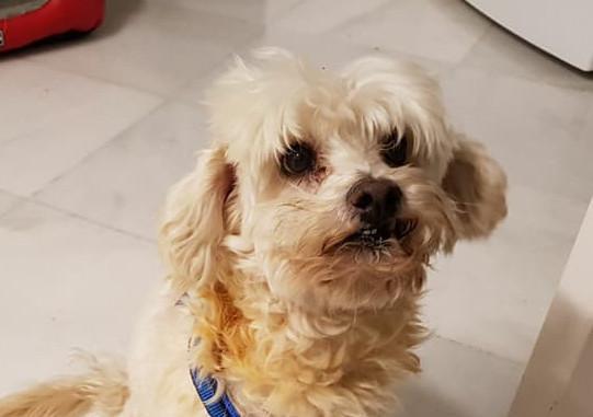 multimedia-foto47937-371-1