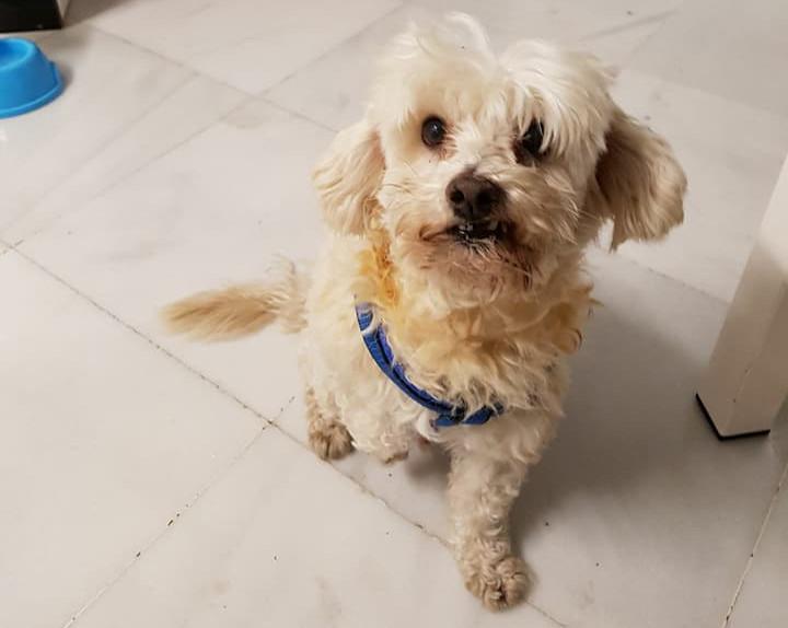 multimedia-foto47938-371-1