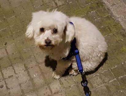 multimedia-foto47939-371-1