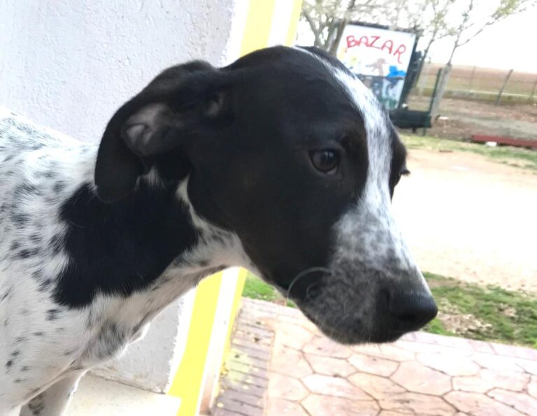 multimedia-foto47985-38-1