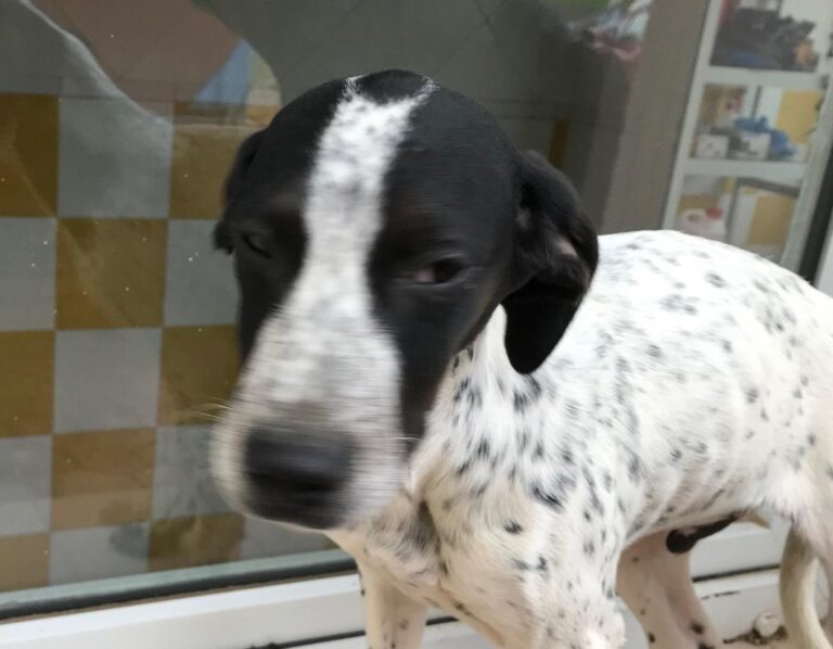 multimedia-foto47986-39-1