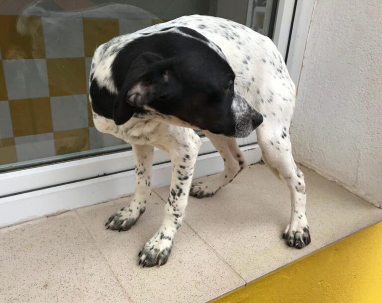 multimedia-foto47987-39-1