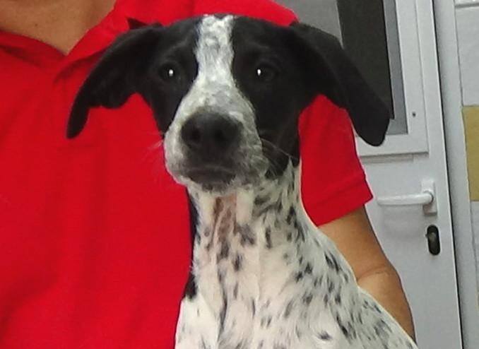 multimedia-foto47988-39-1