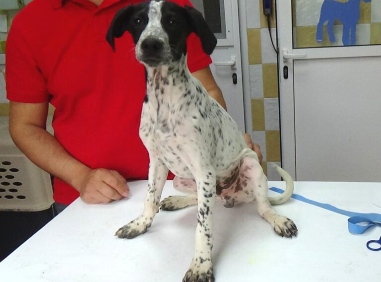 multimedia-foto47989-40-1