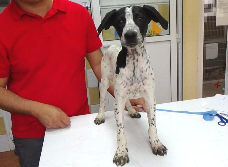 multimedia-foto47990-40-1