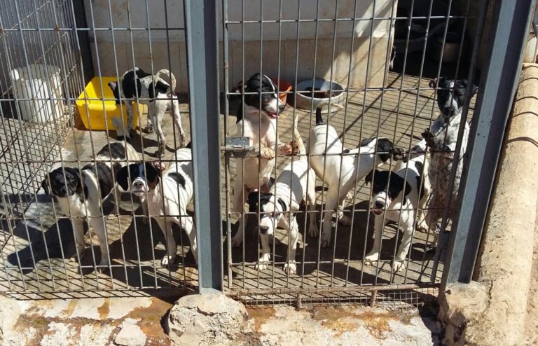 multimedia-foto47991-40-1