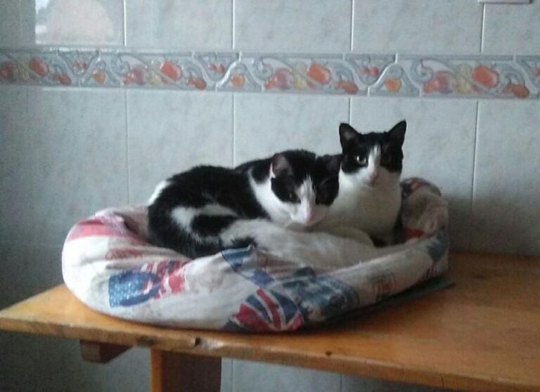 multimedia-foto47993-171-3