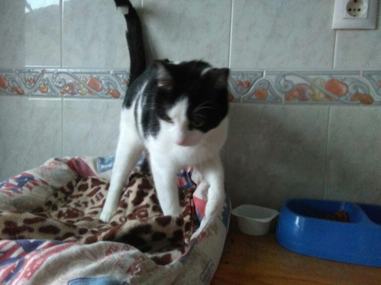 multimedia-foto47994-171-3