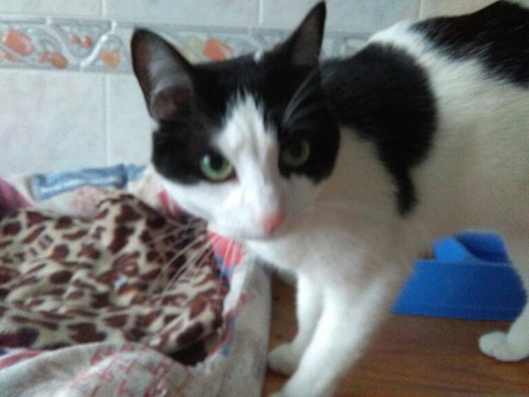 multimedia-foto47995-171-3